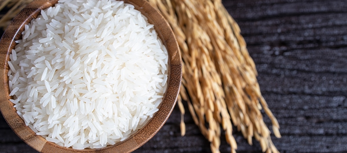 Ebro Food rice